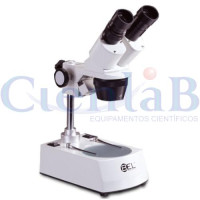 Estereomicroscópio Binocular - Lupa Binocular