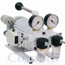 Bomba de Vácuo Palhetas Rotativas