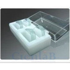 Lamínula para Câmara de Utermohl. Caixa com 100 unidades